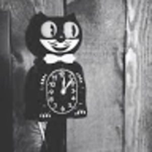 Meet your Posher, Ann